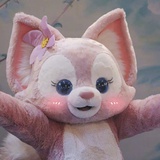 许个愿吧