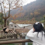 泡泡