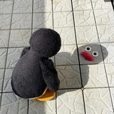 Soso睡不醒