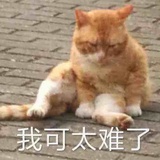 豆友lE2YW6JycA