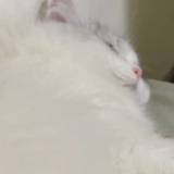 没事就捡垃圾