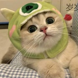 了了