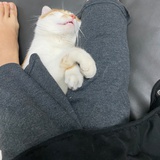 豆友7C4Olm8o5s