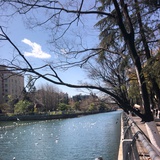 入云龙