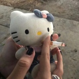 虛偽的香菜