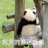 在瓜田中游走