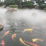 文艺