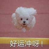 啊哈哈哈哈哈哈