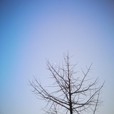不能停止学习