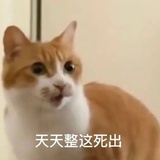 酸菜牛肉下饭酱