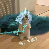 豆友XL1_ds7N6w
