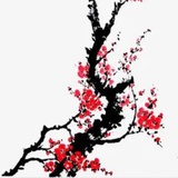 春雨润田