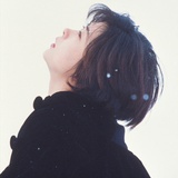 藤井树