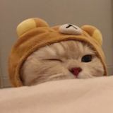 不夠浪漫怎飛行