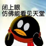 乌龟风月