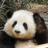 明暗无辄