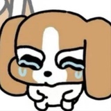 パパ