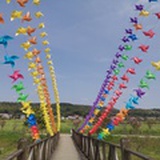 农家乐团建拓展