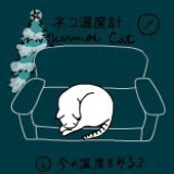 宁安安、