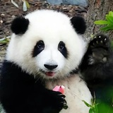 小高真的想睡觉