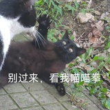 秋葵虾仁粥