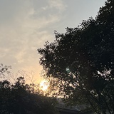 dududu