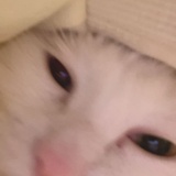 胡萝卜汁
