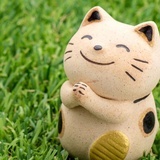 小熊猫