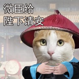 邪恶圆子rr