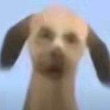 我说我说我说