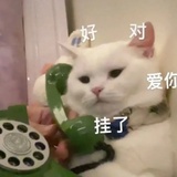 十三