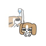 橙黄橘绿好时宜