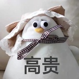 天王盖地虎