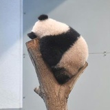 青陌