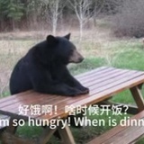 直到光把我带走
