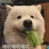 糖豆豆