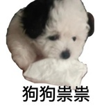 醒酒器