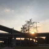 胡萝卜玩偶