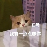 豆友Wq5OAQqk6U