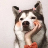 梅子娱乐
