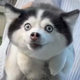 筱筱
