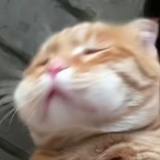 酒酿冰奶