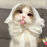 豆友jwxd8yFolo