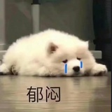 嗨！