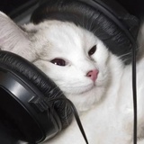 QQ