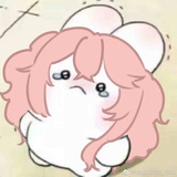 yoyo