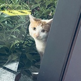 豆友255468789