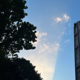 仅此而已