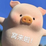爱呼噜噜的富贵