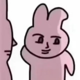 momo🥑